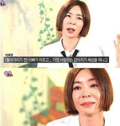 이혜영. 사진=SBS '한밤의 TV 연예' 방송화면 캡처