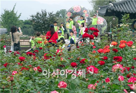 [포토]가을장미 향기 가득한 곡성심청축제 개막