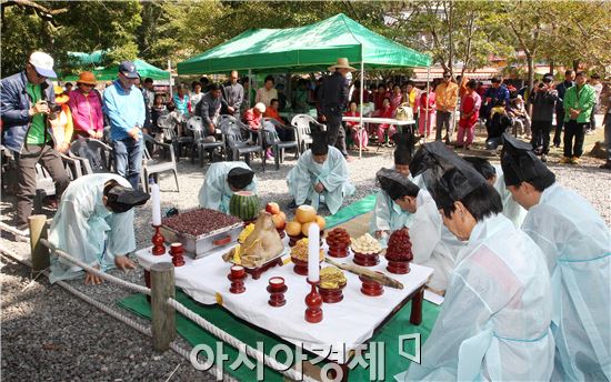 [포토]광주시 북구,충효동 왕버들 기원제