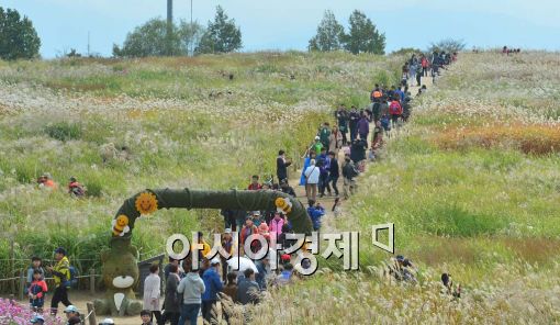 [포토]억새축제 인파 