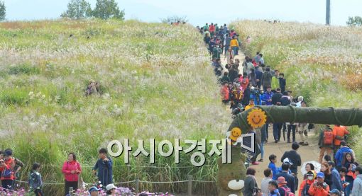 [포토]억새축제 즐기는 시민들 
