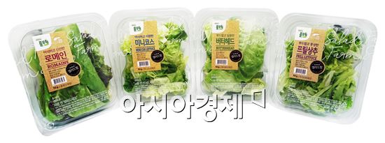 풀무원, 신선한 원물 채소 '샐러드팜' 4종 출시