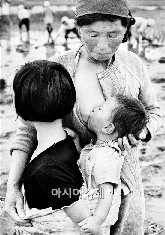 1974년 고창읍
