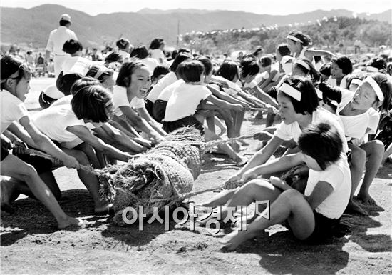 1974년 흥덕면