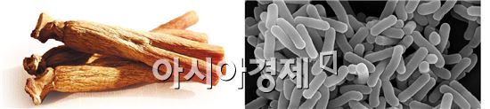 건강기능식품시장 매년 8.4% 성장…비타민·홍삼 선호