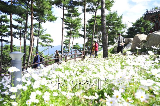 숲 그리고 삶과 쉼이 공존하는 ‘2015산림문화박람회’