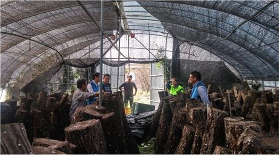 <화순군 산림조합 지도원들이 임업인들에게 표고버섯 원목재배에 관한 기술을 안내하고 있다.>