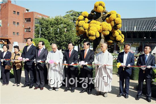 함평군,서울 조계사서 ‘국화향기 나눔전’개막