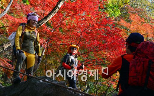 [포토]단풍으로 물든 북한산...등산 즐기는 시민들