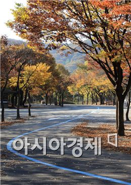 "청명한 가을, 서울대공원서 단풍·장미 즐기세요"