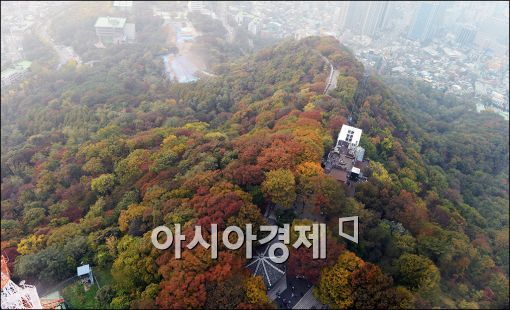 [포토]곱게 물든 남산 단풍