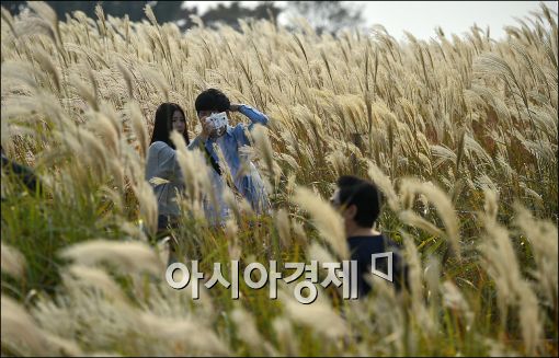 [포토]"깊어가는 가을을 즐겨요"