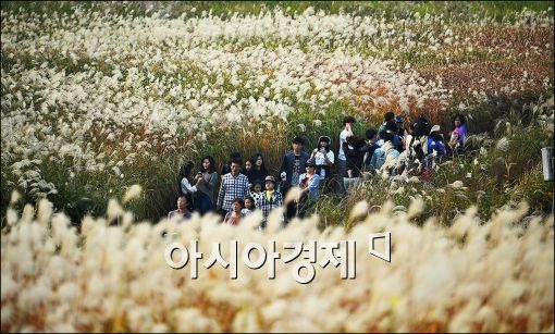 [포토]'가을 풍경'