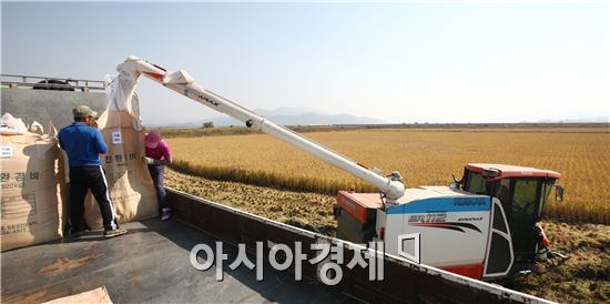 환경과 농업이 공존하는 미래농업 모델로 추진되고 있는 해남군 마산면 ‘뜬섬’의 친환경 벼 수확이 본격 시작됐다. 

