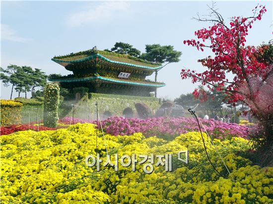 가을 대표축제인 '2015대한민국 국향대전’개막을 사흘 앞둔 20일 국화 축제장인 함평엑스포공원에 관광객들이 찾아와 그윽한 국화향기를 맡으면서 초가을 정취를 만끽하고 있다. 군은 관광객들이 가장 많이 찾는 축제장 중앙광장 입구에 광복 70주년을 기념하는 대형 광화문이 들어서 관광객의 이목을 집중시키고 있다.

함평 국향대전은 ‘국화향기가 들려주는 가을이야기’를 주제로 오는 23일부터 11월 8일까지 17일간 함평군 함평읍 함평엑스포공원에서 개최된다.
