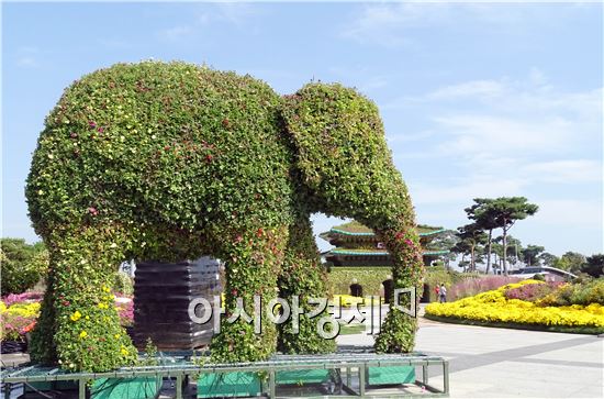 가을 대표축제인 '2015대한민국 국향대전’개막을 사흘 앞둔 20일 국화 축제장인 함평엑스포공원에 관광객들이 찾아와 그윽한 국화향기를 맡으면서 초가을 정취를 만끽하고 있다. 군은 관광객들이 가장 많이 찾는 축제장 중앙광장 입구에 광복 70주년을 기념하는 대형 광화문이 들어서 관광객의 이목을 집중시키고 있다.

함평 국향대전은 ‘국화향기가 들려주는 가을이야기’를 주제로 오는 23일부터 11월 8일까지 17일간 함평군 함평읍 함평엑스포공원에서 개최된다.
