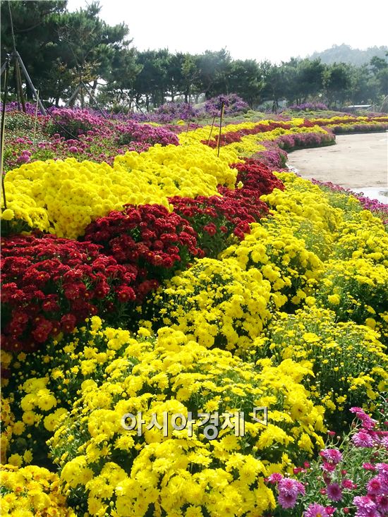 가을 대표축제인 '2015대한민국 국향대전’개막을 사흘 앞둔 20일 국화 축제장인 함평엑스포공원에 관광객들이 찾아와 그윽한 국화향기를 맡으면서 초가을 정취를 만끽하고 있다. 군은 관광객들이 가장 많이 찾는 축제장 중앙광장 입구에 광복 70주년을 기념하는 대형 광화문이 들어서 관광객의 이목을 집중시키고 있다.

함평 국향대전은 ‘국화향기가 들려주는 가을이야기’를 주제로 오는 23일부터 11월 8일까지 17일간 함평군 함평읍 함평엑스포공원에서 개최된다.
