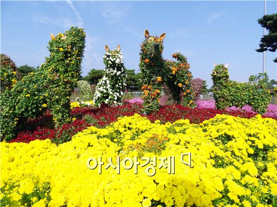 가을 대표축제인 '2015대한민국 국향대전’개막을 사흘 앞둔 20일 국화 축제장인 함평엑스포공원에 관광객들이 찾아와 그윽한 국화향기를 맡으면서 초가을 정취를 만끽하고 있다. 군은 관광객들이 가장 많이 찾는 축제장 중앙광장 입구에 광복 70주년을 기념하는 대형 광화문이 들어서 관광객의 이목을 집중시키고 있다.

함평 국향대전은 ‘국화향기가 들려주는 가을이야기’를 주제로 오는 23일부터 11월 8일까지 17일간 함평군 함평읍 함평엑스포공원에서 개최된다.
