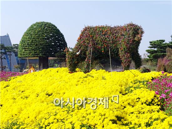 가을 대표축제인 '2015대한민국 국향대전’개막을 사흘 앞둔 20일 국화 축제장인 함평엑스포공원에 관광객들이 찾아와 그윽한 국화향기를 맡으면서 초가을 정취를 만끽하고 있다. 군은 관광객들이 가장 많이 찾는 축제장 중앙광장 입구에 광복 70주년을 기념하는 대형 광화문이 들어서 관광객의 이목을 집중시키고 있다.

함평 국향대전은 ‘국화향기가 들려주는 가을이야기’를 주제로 오는 23일부터 11월 8일까지 17일간 함평군 함평읍 함평엑스포공원에서 개최된다.
