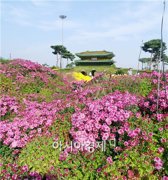 가을 대표축제인 '2015대한민국 국향대전’개막을 사흘 앞둔 20일 국화 축제장인 함평엑스포공원에 관광객들이 찾아와 그윽한 국화향기를 맡으면서 초가을 정취를 만끽하고 있다. 군은 관광객들이 가장 많이 찾는 축제장 중앙광장 입구에 광복 70주년을 기념하는 대형 광화문이 들어서 관광객의 이목을 집중시키고 있다.

함평 국향대전은 ‘국화향기가 들려주는 가을이야기’를 주제로 오는 23일부터 11월 8일까지 17일간 함평군 함평읍 함평엑스포공원에서 개최된다.
