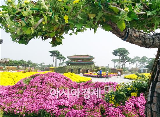 [포토]화사한 국화와  광화문