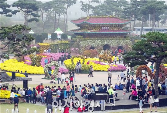 [포토]국화향기 그윽한 함평엑스포공원