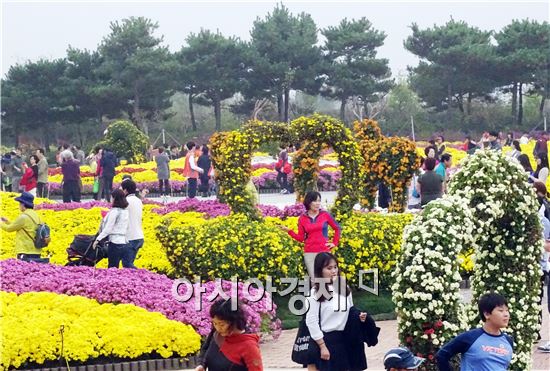 [포토]국화향기속에 초가을 정취 만끽하는 관광객들