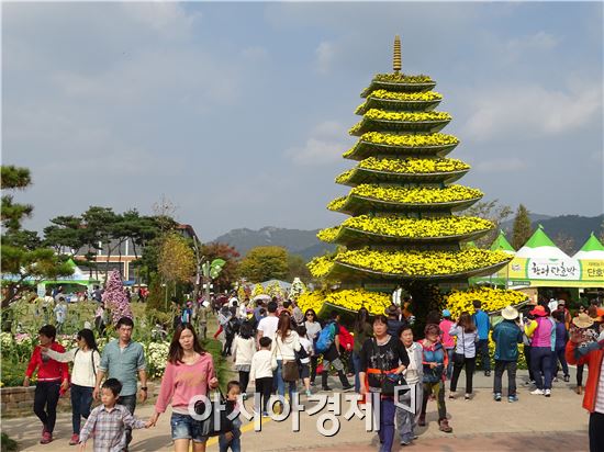 [포토]늦가을 정취 무르익어가는 함평국향대전