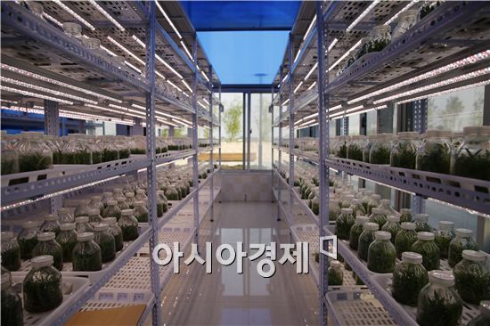 암웨이 뉴트리라이트, 중의학을 건기식에 담는다