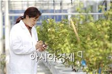 암웨이 뉴트리라이트, 중의학을 건기식에 담는다