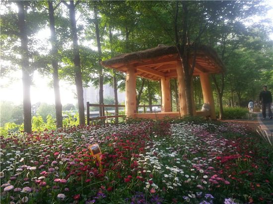 양재천 팔경에서 펼쳐지는 단풍길 걷기