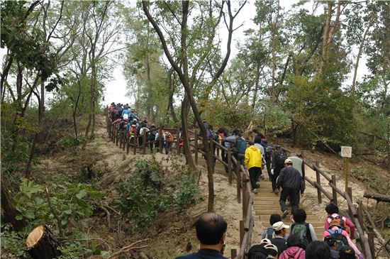 수락산 둘레길 걸으며 단풍 구경하세요 