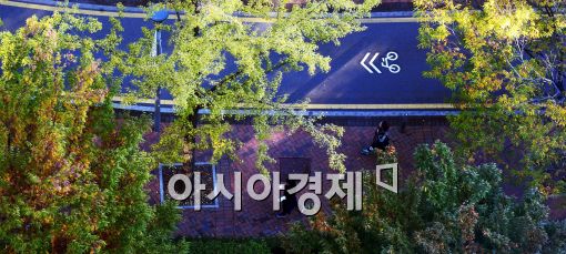 [포토]'정동길과 추위'