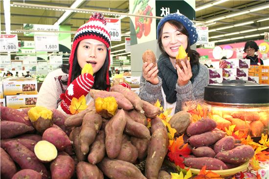 28일 서울 서초구 농협하나로클럽 양재점에서 모델들이 쌀쌀해진 날씨에 따뜻하게 먹을 수 있는 햇고구마를 선보이고 있다. 
