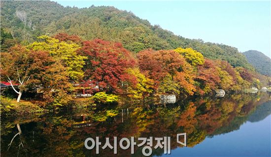 [포토]오색빛깔  한 폭의 수채화, 관광객 유혹