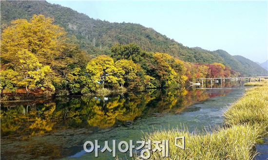 [포토]단풍으로 물들어가는  남도의 '아름다운 마을숲'