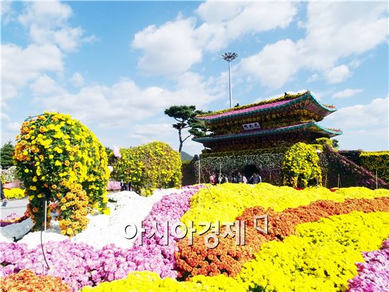 [포토]청명한 가을하늘이 열린 함평국화축제장