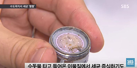 수도꼭지 세균. 사진=SBS 방송화면 캡처