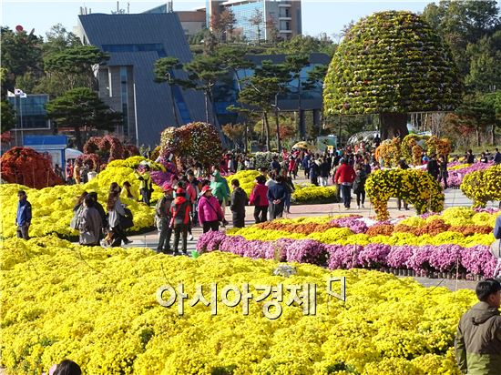 [포토]가을문턱 막바지, 함평국향대전 인파북적