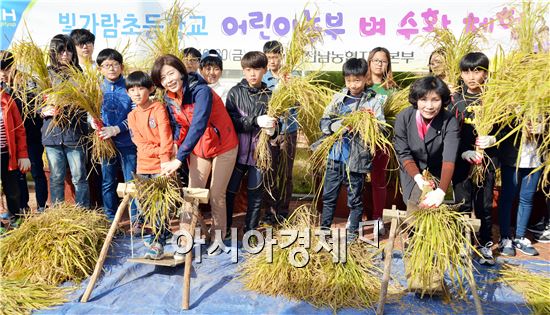 전남농협, 초등학교 농업체험장 벼 수확체험