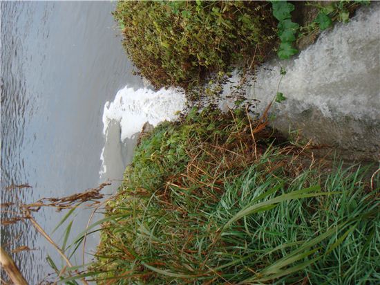 서울숲 삼표레미콘 비밀배출구로 한강에 폐수 무단방류(종합) 