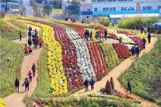 ‘화순 도심 속 국화향연’에 10만 인파 방문