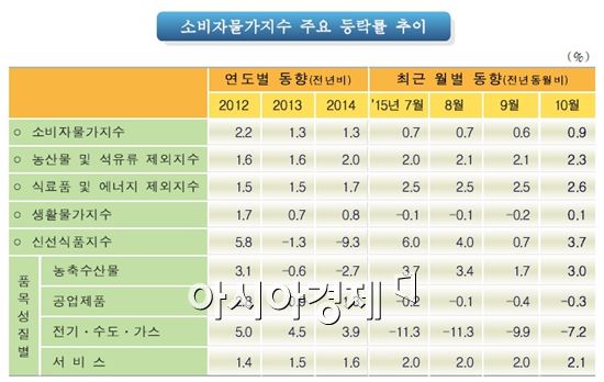 10월 소비자물가 작년보다 0.9% ↑..11개월째 0%대(종합)