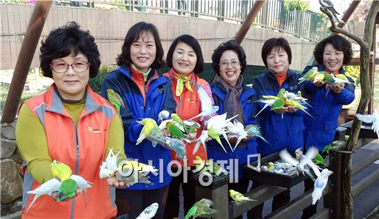 [화보]그윽한 국화향기로 진동하는 함평국향대전 절정