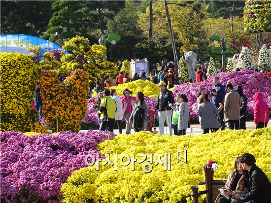 [화보]그윽한 국화향기로 진동하는 함평국향대전 절정