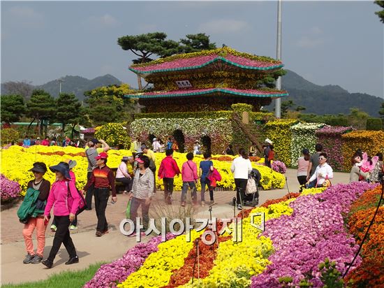 [화보]그윽한 국화향기로 진동하는 함평국향대전 절정