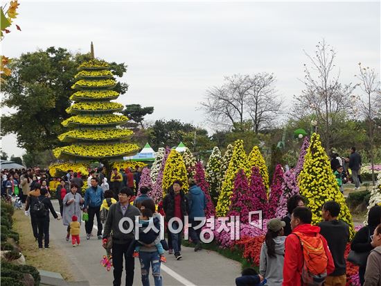 [화보]그윽한 국화향기로 진동하는 함평국향대전 절정