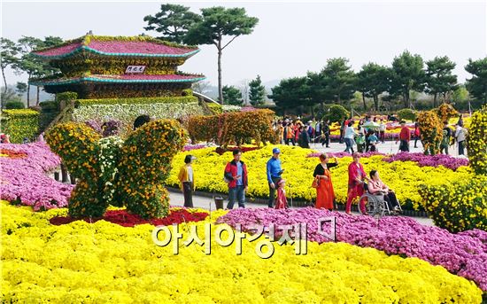 [화보]그윽한 국화향기로 진동하는 함평국향대전 절정