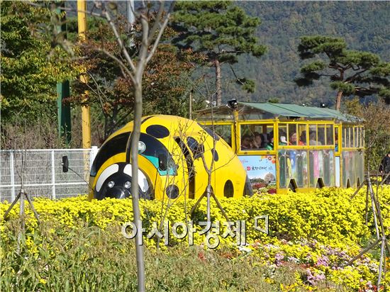 [화보]그윽한 국화향기로 진동하는 함평국향대전 절정