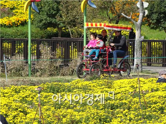 [화보]그윽한 국화향기로 진동하는 함평국향대전 절정